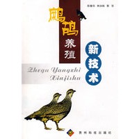鹧鸪养殖新技术