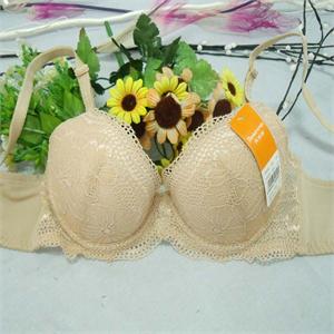 贝婷娜特价 聚拢性感刺绣文胸342001（适合小胸MM)