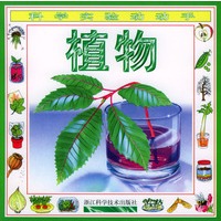 科学实验动动手：植物