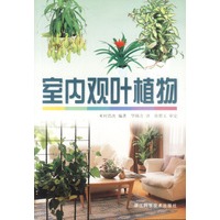 室内观叶植物