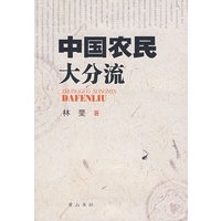 中国农民大分流