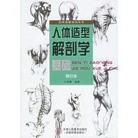 人体造型解剖学基础——绘画基础知识丛书