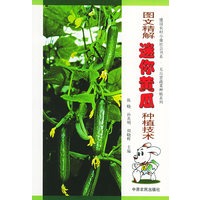 图文精解迷你黄瓜种植技术