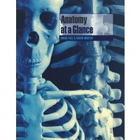 解剖学一览 Anatomy at a Glance