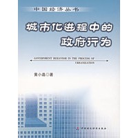 城市化进程中的政府行为