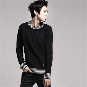 2011秋冬新款韩版毛衣纯棉针织衫蜘蛛 男圆领打底毛衣1515-M120