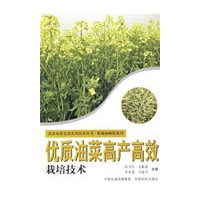 优质油菜高产高效栽培技术