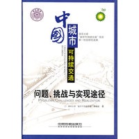 中国城市可持续交通:问题、挑战与实现途径