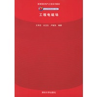 工程电磁场——高等院校电气工程系列教材