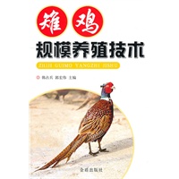 雉鸡规模养殖技术