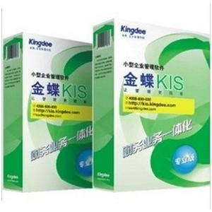 金蝶软件 金蝶kis专业版v11.0 总账报表模块