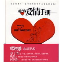 非常爱情手册