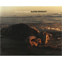 别让我消失 DON’T LET ME DISAPPEAR:SLATER BRADLEY