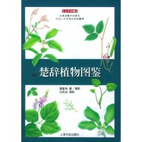 楚辞植物图鉴——文学珍藏