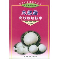 大肥菇高效栽培技术——新世纪富民工程丛书·食用菌类栽培书系