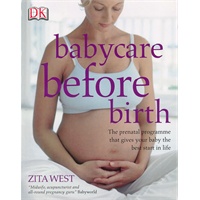 DK Babycare Before Birth 孕期护理