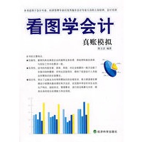 看图学会计：真账模拟