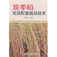 双季稻高效配套栽培技术