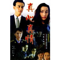 真心真情