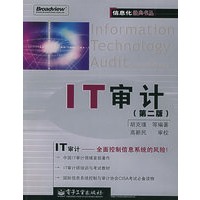 IT审计（第二版）——信息化经典书丛