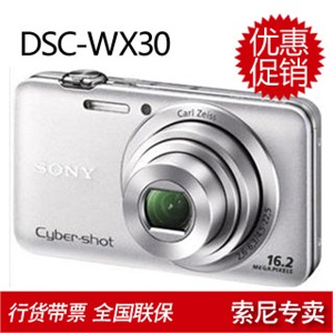索尼 W390 数码相机+8GB存储卡 精美数码包 高速读卡器 液晶贴膜