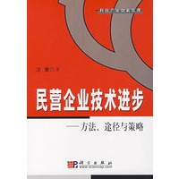 民营企业技术进步：方法、途径与策略
