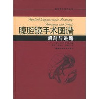腹腔镜手术图谱：解剖与进路——临床手术技巧丛书