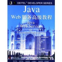 Java Web服务高级教程