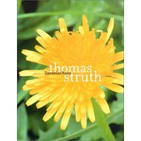 托马斯·施特鲁特：蒲公英房间 Thomas Struth:Dandelion Room