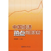 中国经济热点问题浅析