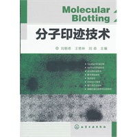 分子印迹技术