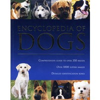 动物百科：狗Encycolpedia of Dogs