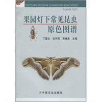 果园灯下常见昆虫原色图谱