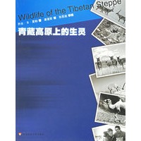 青藏高原上的生灵