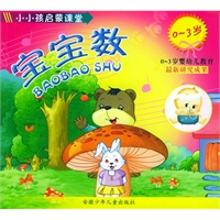 小小孩启蒙课堂（0-3岁）：宝宝数