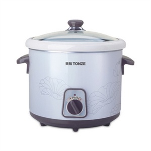 TONZE/天际 DDG-W310N 电炖锅 陶瓷内胆 三档位 1L