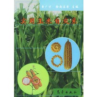 实用玉米自交系