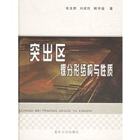 突出区煤分形结构与性质