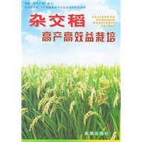 杂交稻高产高效益栽培