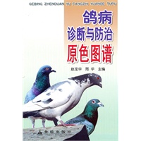 鸽病诊断与防治原色图谱