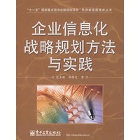 企业信息化战略规划方法与实践