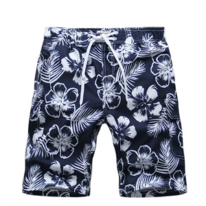 LESMART 男装 2012夏装新品 精品热卖 花色沙滩短裤 男式休闲短裤