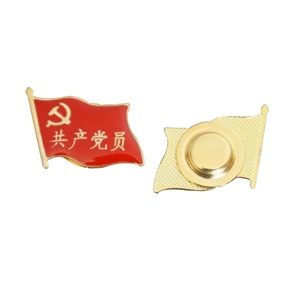 高档红旗式党徽胸牌 国徽胸徽 胸牌 水晶滴胶胸牌 蝴蝶扣