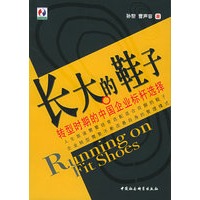长大的鞋子：转型时期的中国的企业标杆选择