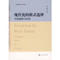 现代化的模式的选择
