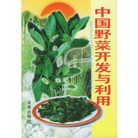 中国野菜开发与利用