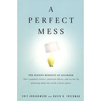 完美的混乱/Perfect Mess, A (International Edition)