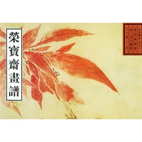 荣宝斋画谱古代部分(51)清. 花卉