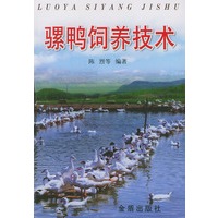 骡鸭饲养技术