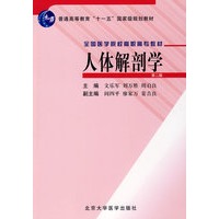 人体解剖学